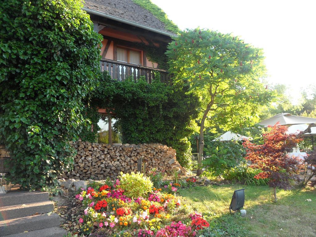 Hotel Restaurant Verger Des Chateaux, Route Des Vins Haut-Koenigsbourg Dieffenthal Luaran gambar